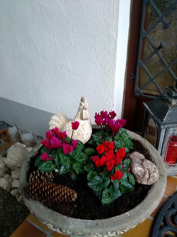 Tannhaeuser B&B Bad Dürrheim Esterno foto
